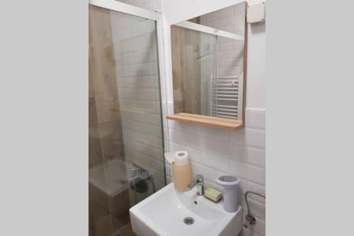 Apartment Bizzi city center
