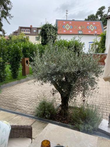 Terraza/balcón, Apartment am Weinberg in Deidesheim