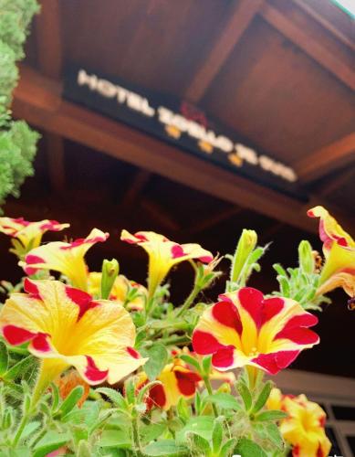 Albergo Zoello Je Suis Albergo Zoello Je Suis