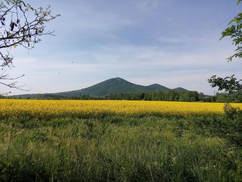 Sprencz Csaladi Major in Sátoraljaújhely