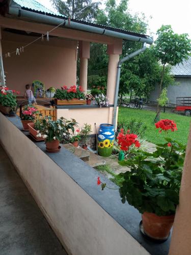 Sprencz Csaladi Major in Sátoraljaújhely