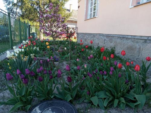 Sprencz Csaladi Major in Sátoraljaújhely