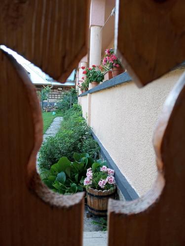 Sprencz Csaladi Major in Sátoraljaújhely