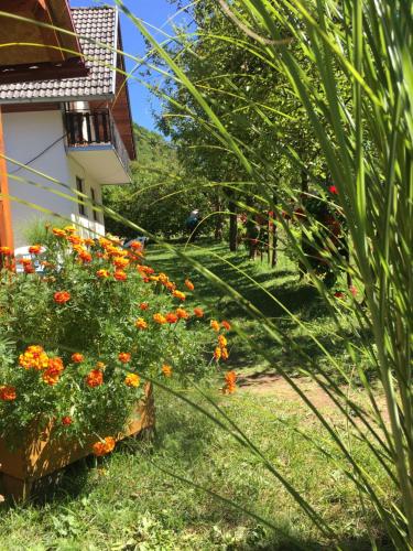 Domacinstvo Ubovic in Sipovo