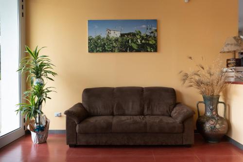 Club Azzurro Hotel & Resort - image 9