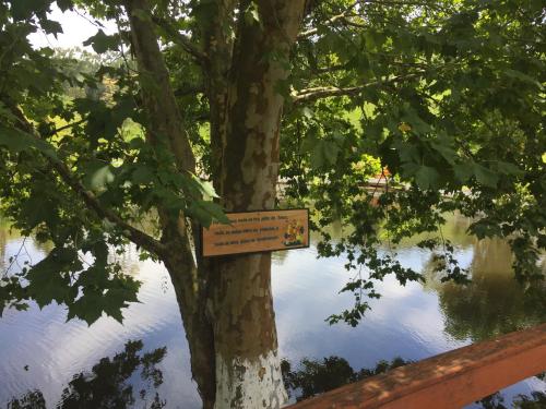 Fazenda Chico Pereira