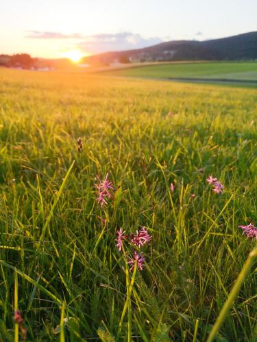 Böhmerwald pur - Haus1