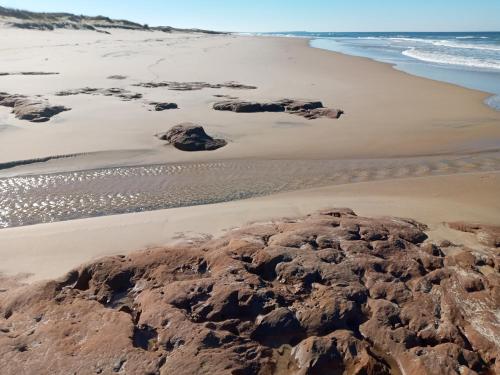 Chacra marítima cerca del Cabo (Chacra maritima cerca del Cabo) in Cabo Polonio