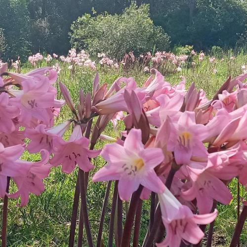 Casa de campo cerca del Cabo in Cabo Polonio
