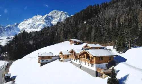 Skyberg Chalet in Mühlbach am Hochkönig, Österreich
