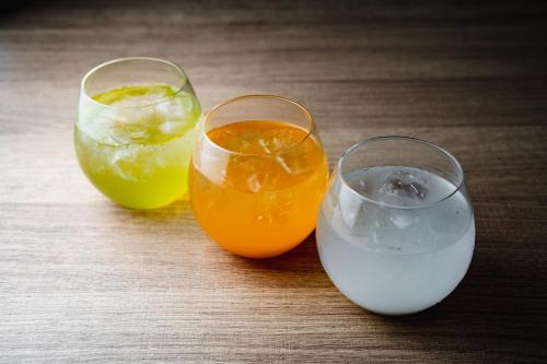 The Royal Park Canvas - Kyoto Nijo