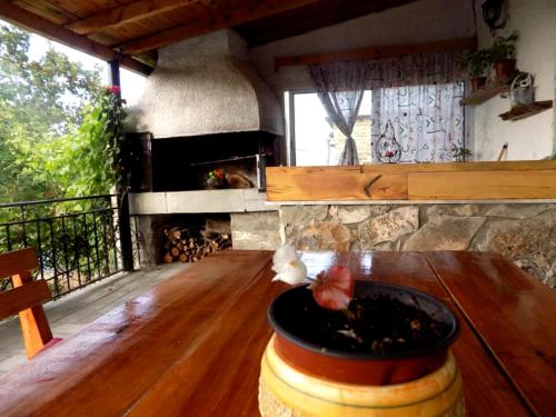GuestHouse Lile - image 3