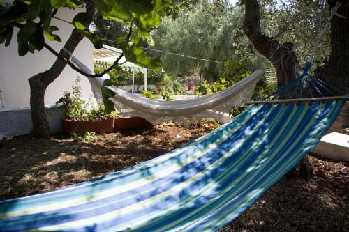 Ostuni home nature