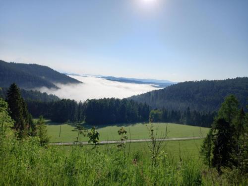 Alrededores, Chata pod lesom in Levoca