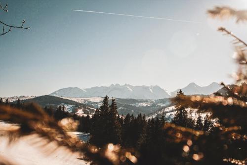 Chata pod lesom in Levoca