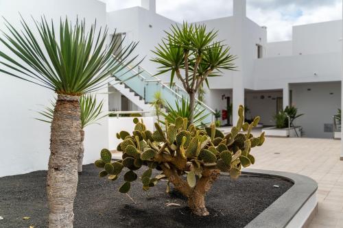 Hotel Lanzarote Village - image 3