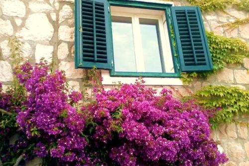 Casa Bougainvillea 3 bedrooms