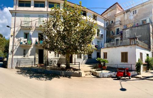  Appartamento  La Via delle Barche , Pension in Marina di Camerota