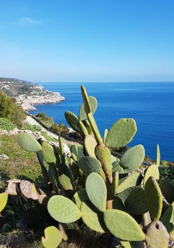 terra rossa casa di campagna con piscina