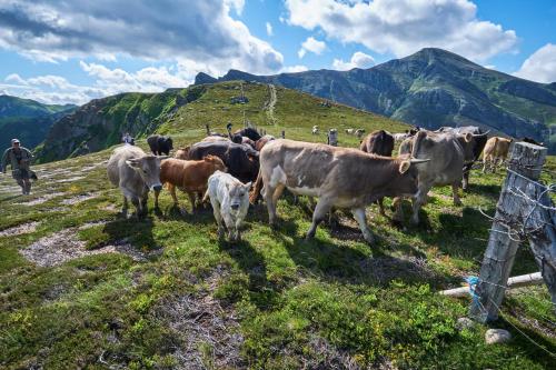 La Posada de Cucayo - image 8