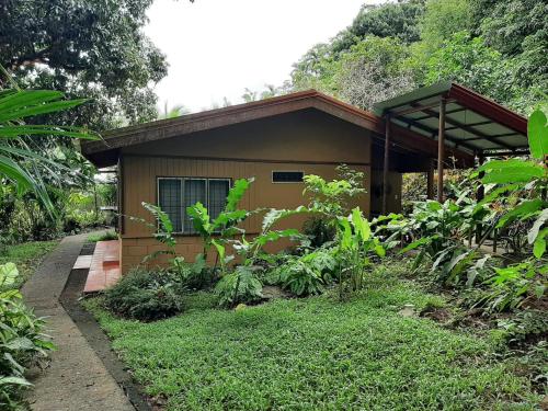 Iguana Libre Iguana Libre