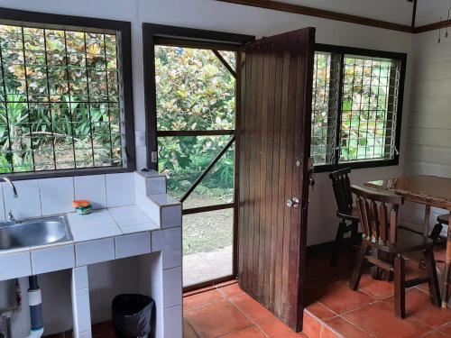 Iguana Libre Iguana Libre