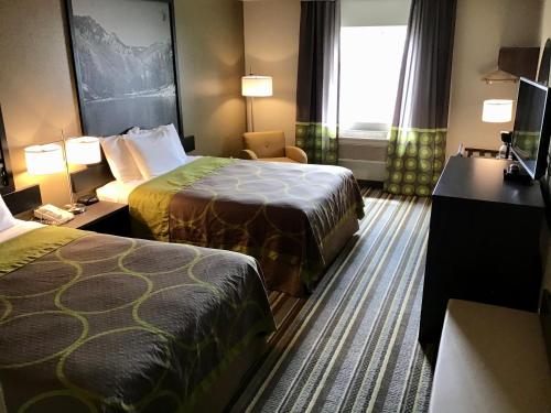 2 queen beds