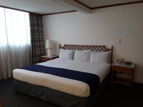 布里斯托酒店 布里斯托酒店