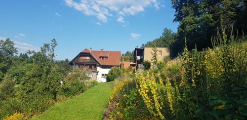  Forstbauer in Millstatt