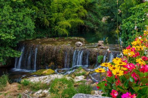 コンフォー ル マ ドゥ レトワル