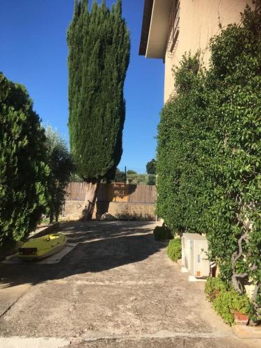  Casa fra gli ulivi di Giuseppe in Sonnino