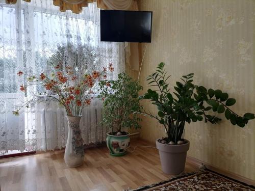 Апартаменти в центрі міста, Kamenec Podolský