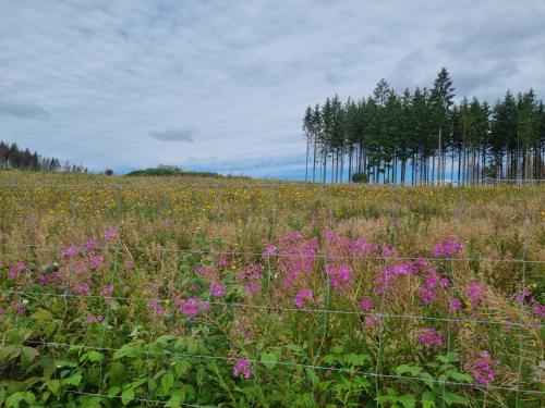 Surrounding environment, Ferienhaus mit Ausblick in Waldeck