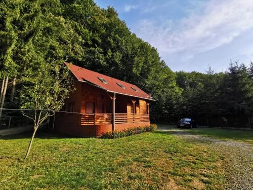 Holiday Guest House - Location saisonnière - Odorheiu Secuiesc