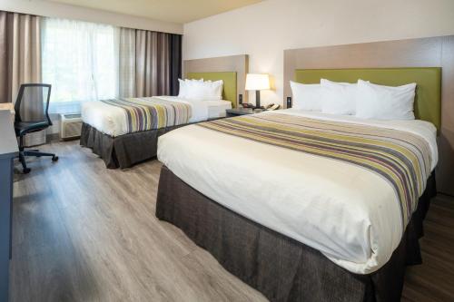 2 queen beds