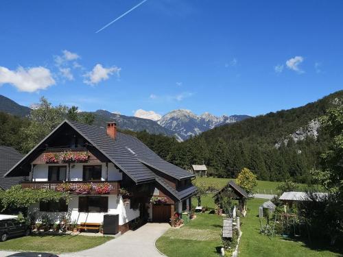 Apartmaji Preželj - Apartment - Bohinj