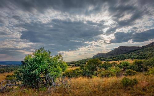 Thaba Manzi Ranch