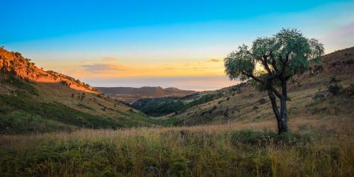 Thaba Manzi Ranch