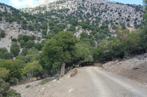 Villa Strata (a path to Psiloritis mountain)