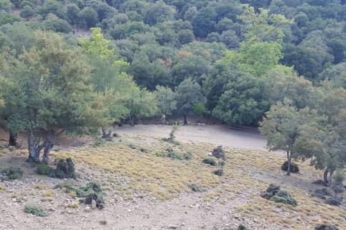 Villa Strata (a path to Psiloritis mountain)