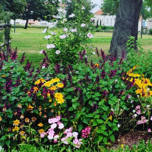 La maison du sourire chambre d'hôte Golf Club Bondoufle