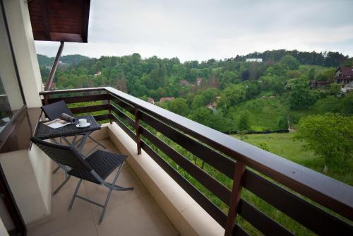 Pensiunea Toscana - image 8