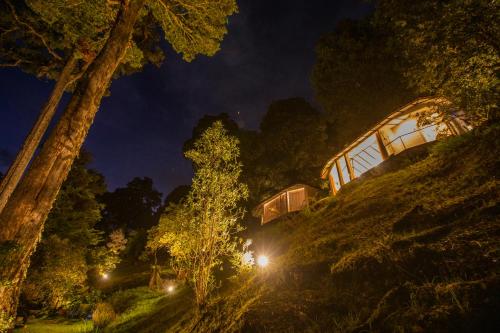 Dantica Cloud Forest Lodge