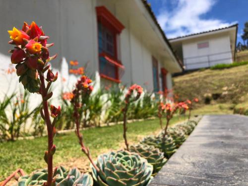 Dantica Cloud Forest Lodge