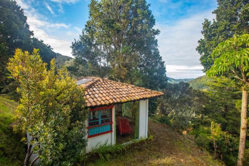 Dantica Cloud Forest Lodge