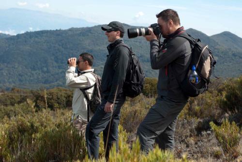 Dantica Cloud Forest Lodge