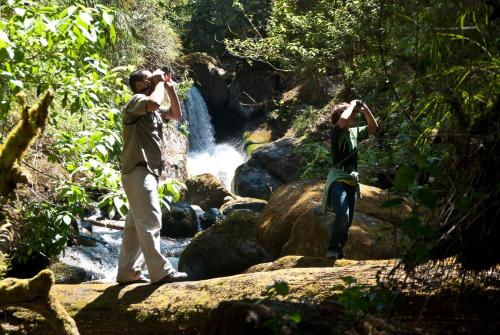 Dantica Cloud Forest Lodge