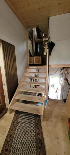 Budget Single Room