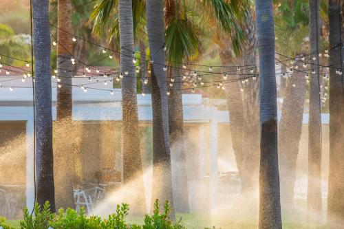 318317269 Hotel Club Saraceno - Bovis Hotels