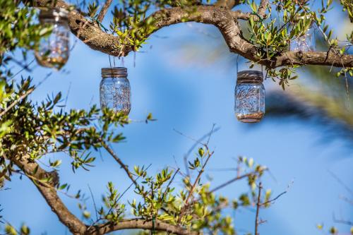 318317458 Hotel Club Saraceno - Bovis Hotels